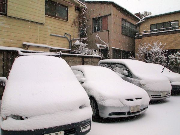駐車中の車も雪化粧